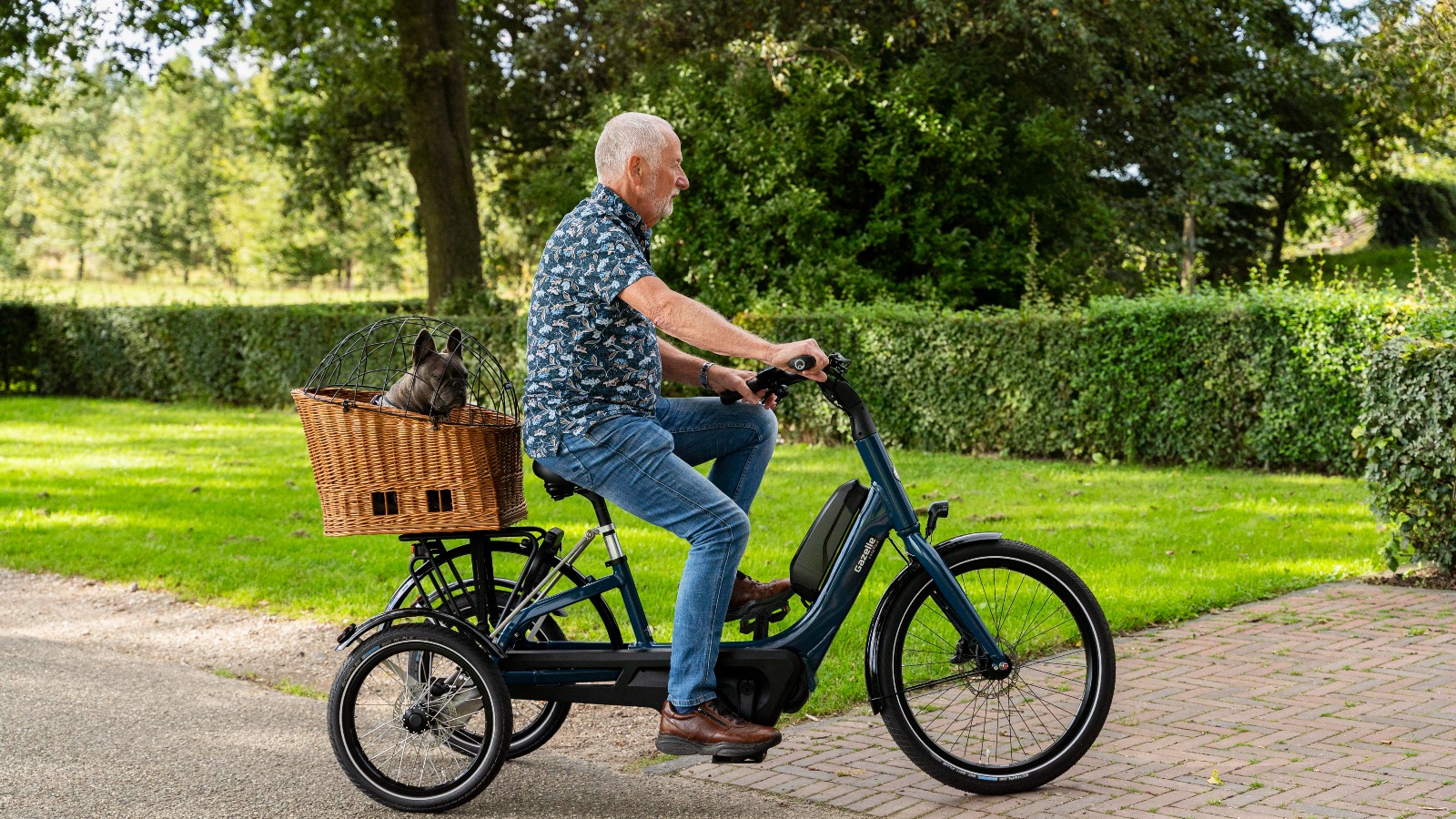WOQLIBE Driewieler voor volwassenen, 24 inch, opvouwbare fiets