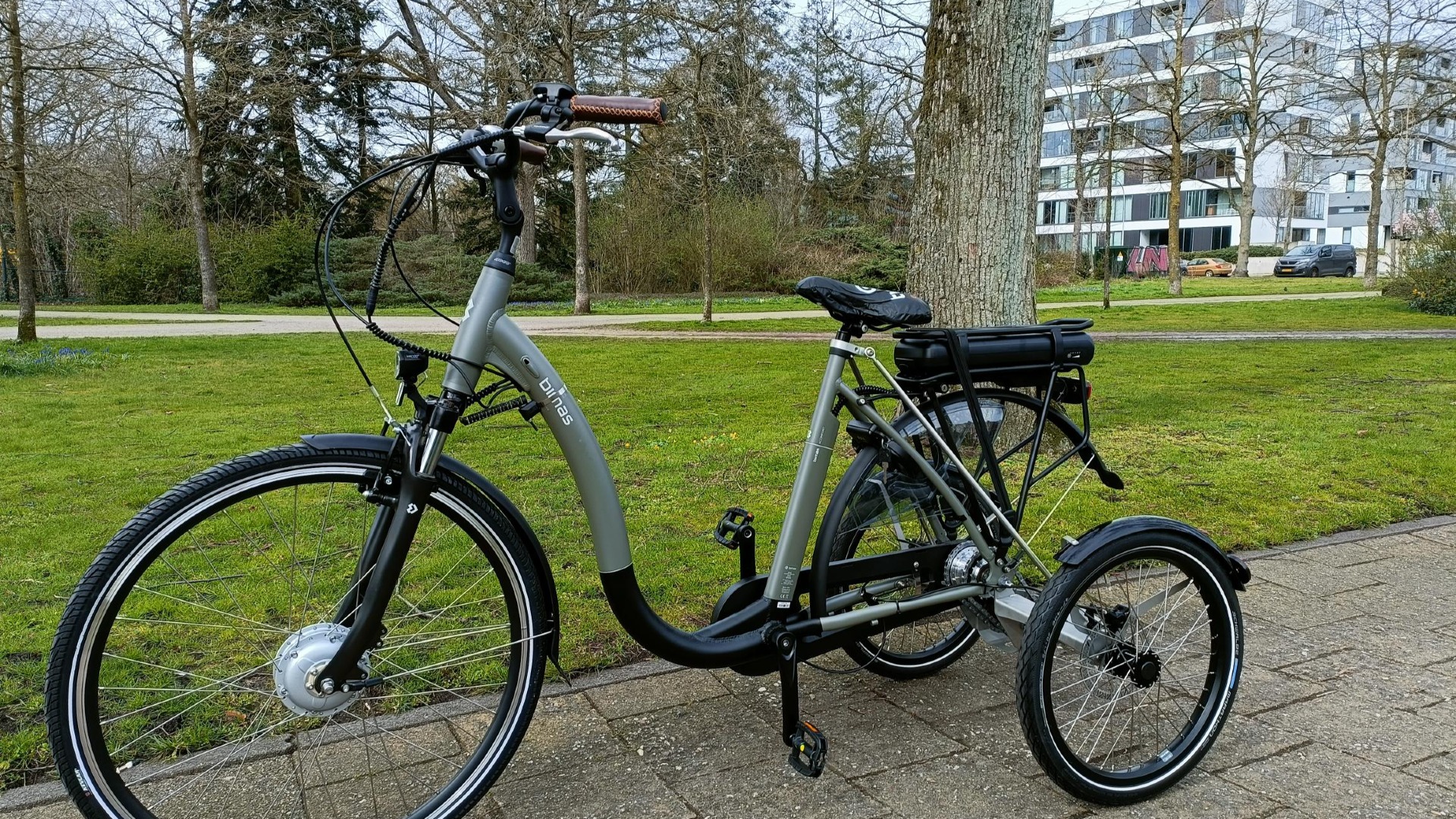 Voor wie is een driewieler met lage instap geschikt?