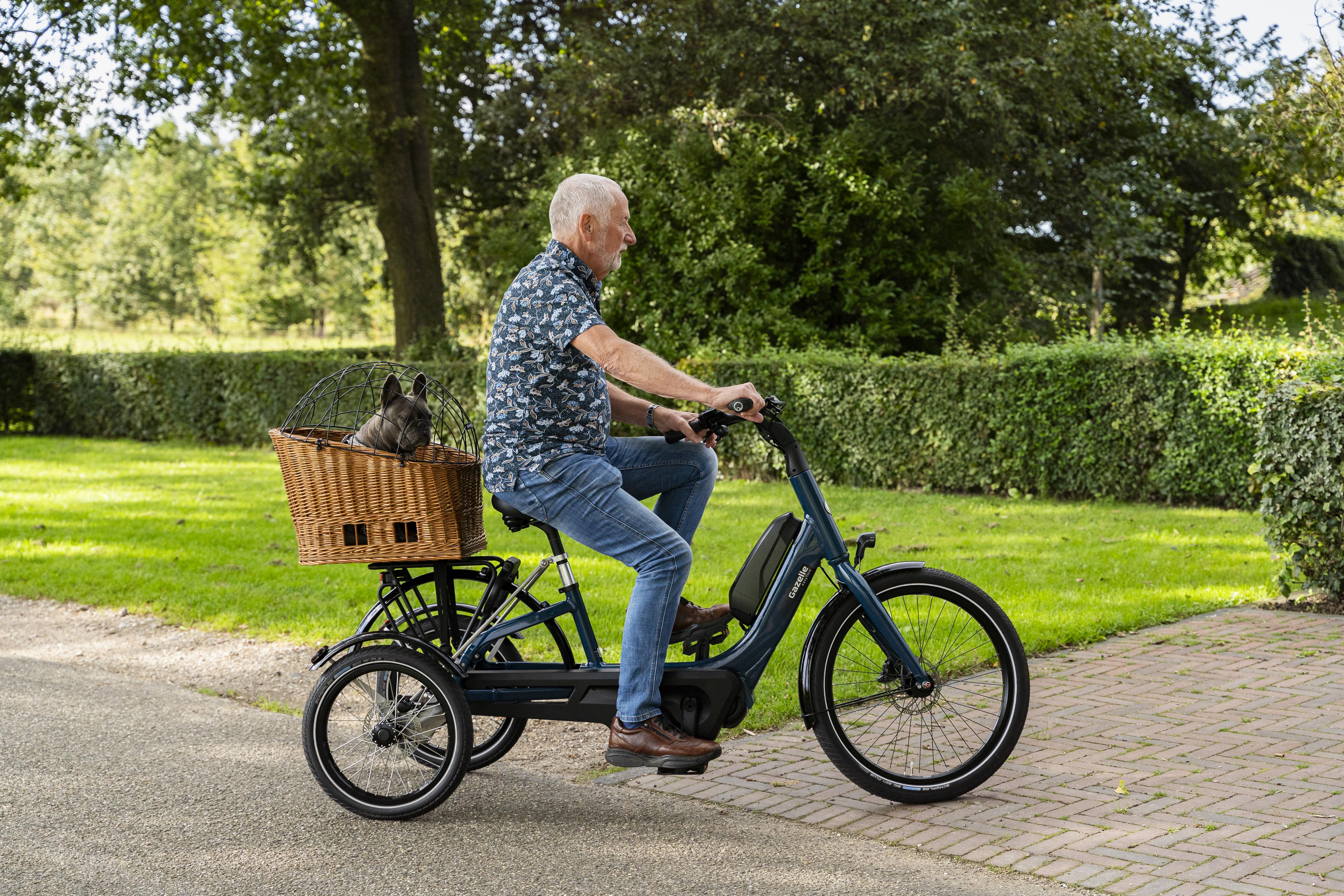 Tworby met hondenmandje op Gazelle Easyflow